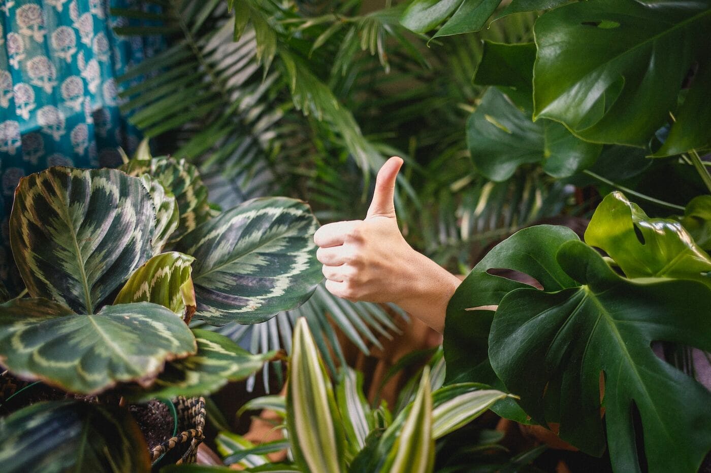 Anerkennung ist eine Maßnahme des internen Employer Branding.